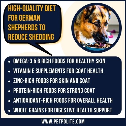 An illustration showing high-quality diet for German Shepherds.