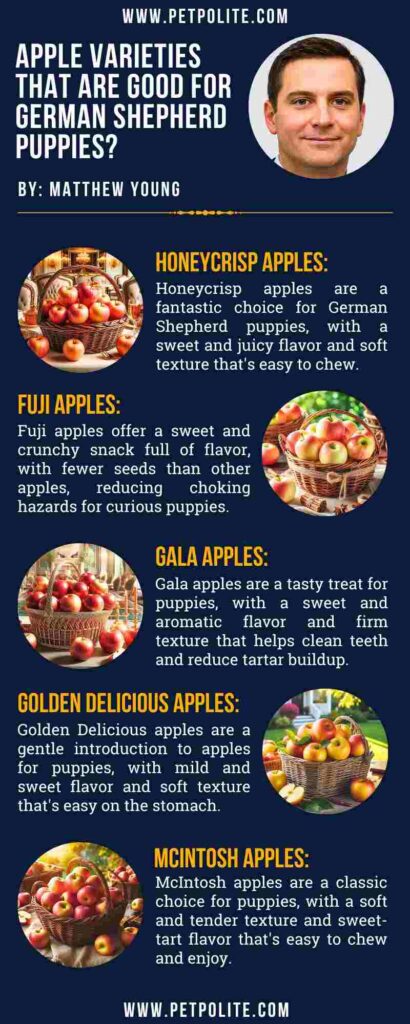 An infographic showing apple varieties good for German Shepherd puppies.