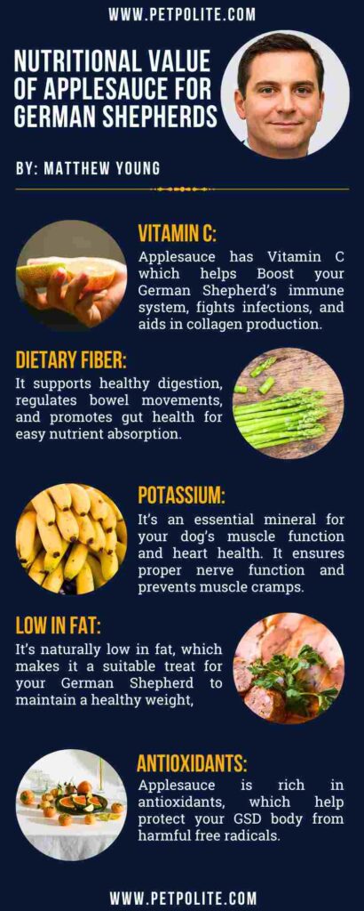 An infographic showing the nutritional value of applesauce for German Shepherds.