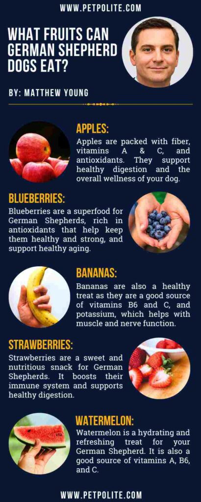 An infographic about what fruits can German Shepherds eat.