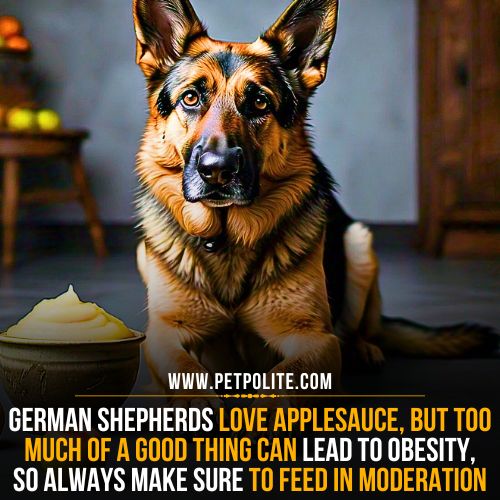 Can German Shepherds eat applesauce?