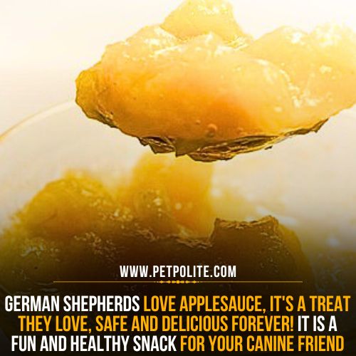 Is applesauce safe for German Shepherds?