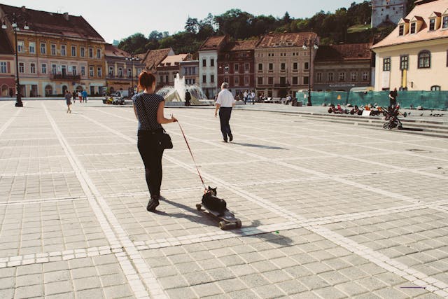 A girl walking with her pet.