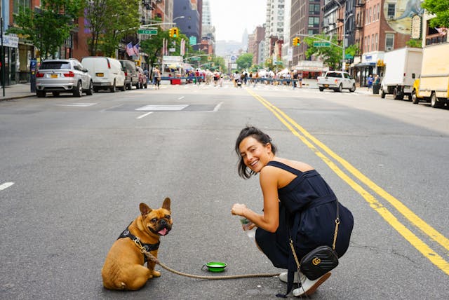 A woman in blue dress with her brown Pug.