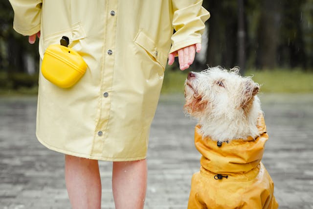 A person standing beside his dog.