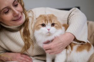 A woman in white sweater holding orange and white cat.