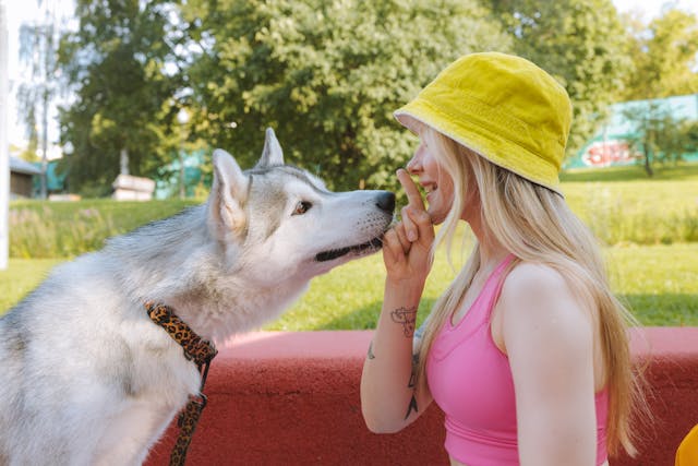 A woman training her dog in a garden.