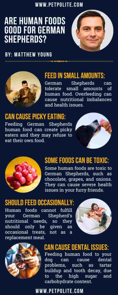 An infographic about feeding human foods to German Shepherds.