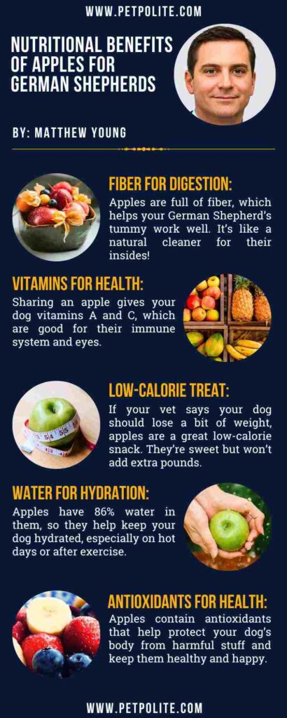 An infographic showing the nutritional benefits of apples for German Shepherds.