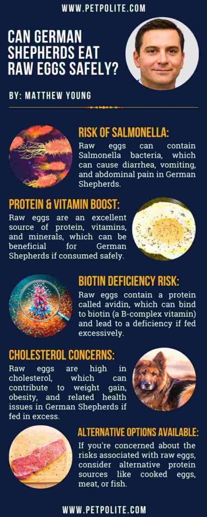 An infographic showing why raw eggs are important for German Shepherds.