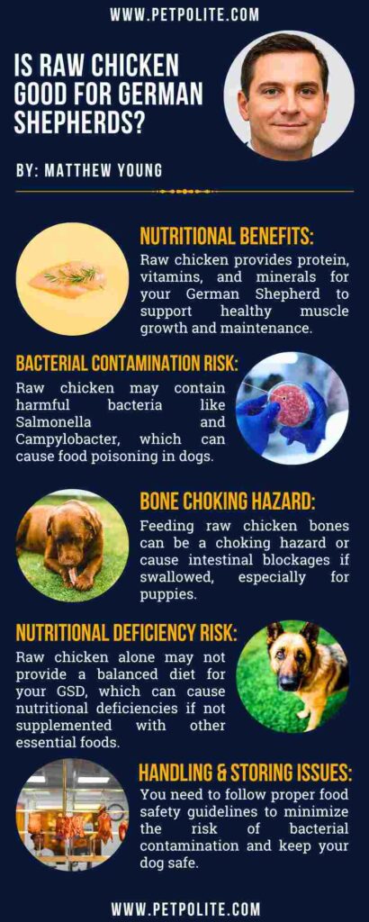 An infographic showing the importance of raw chicken for German Shepherds.