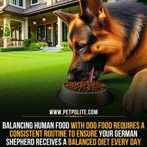 Can German Shepherds eat human foods safely?