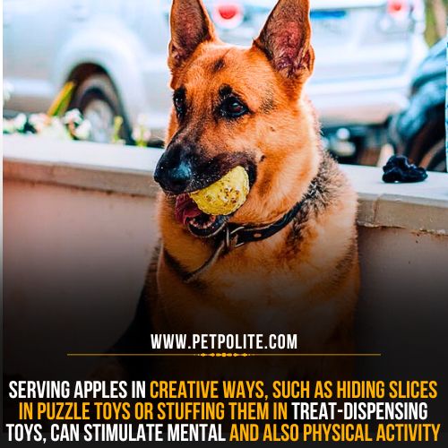 Can German Shepherd dogs eat apples?