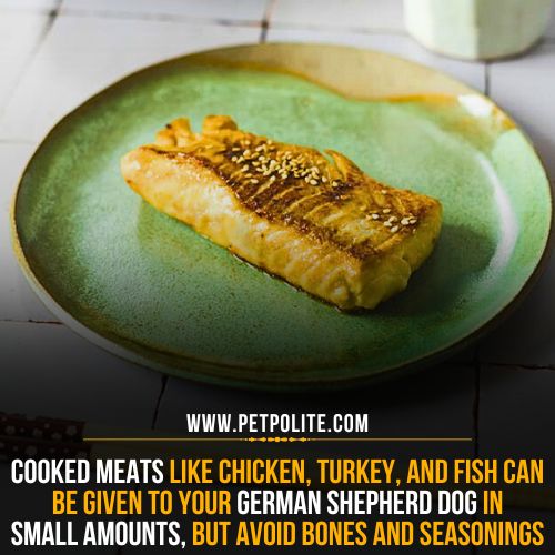 Can German Shepherds eat human foods safely?