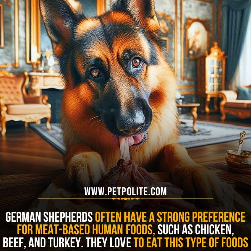 What foods German Shepherd dogs love to eat?