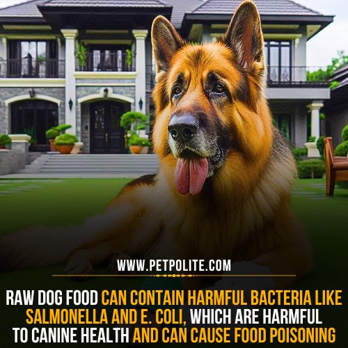 What raw food can German Shepherds eat?